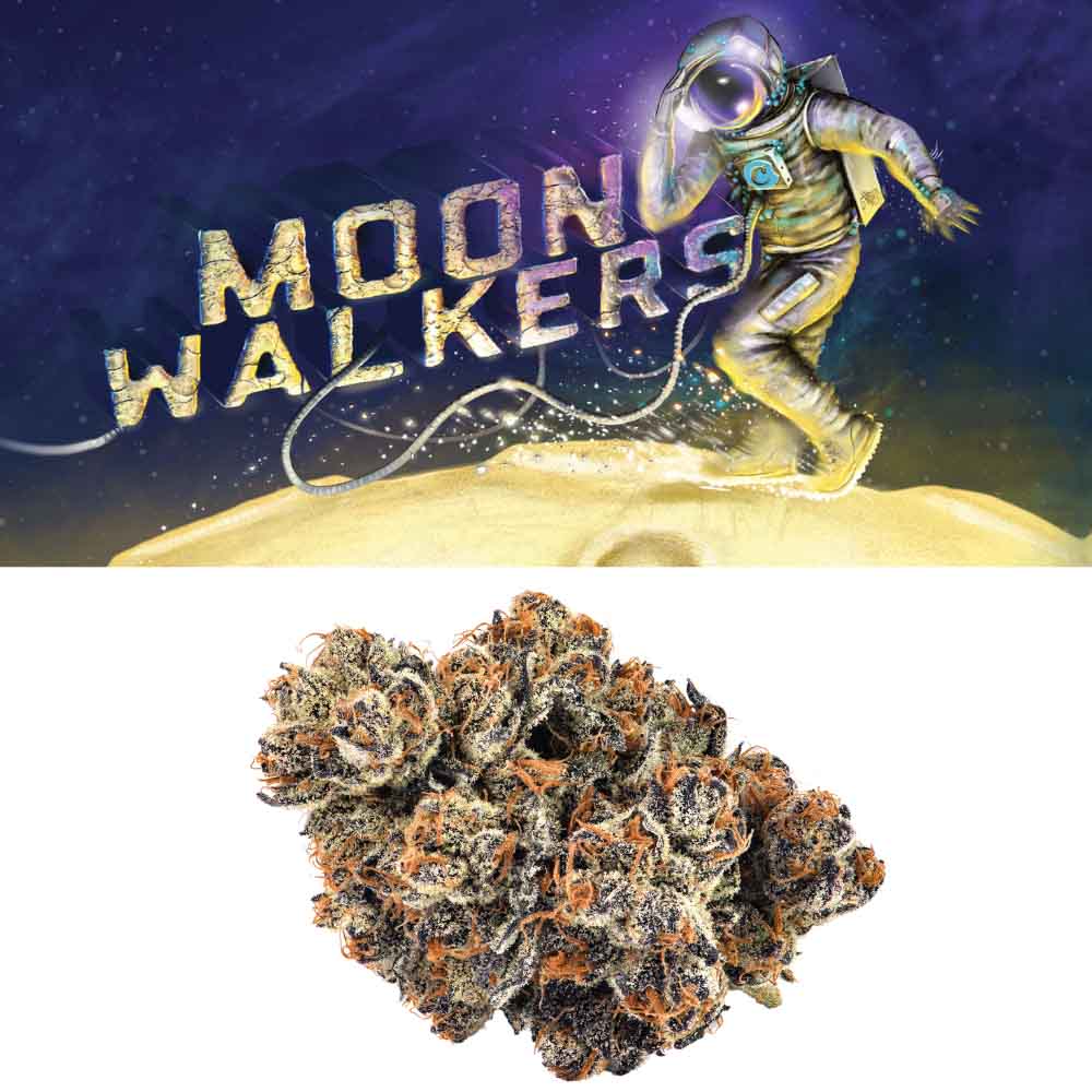 Moonwalkers