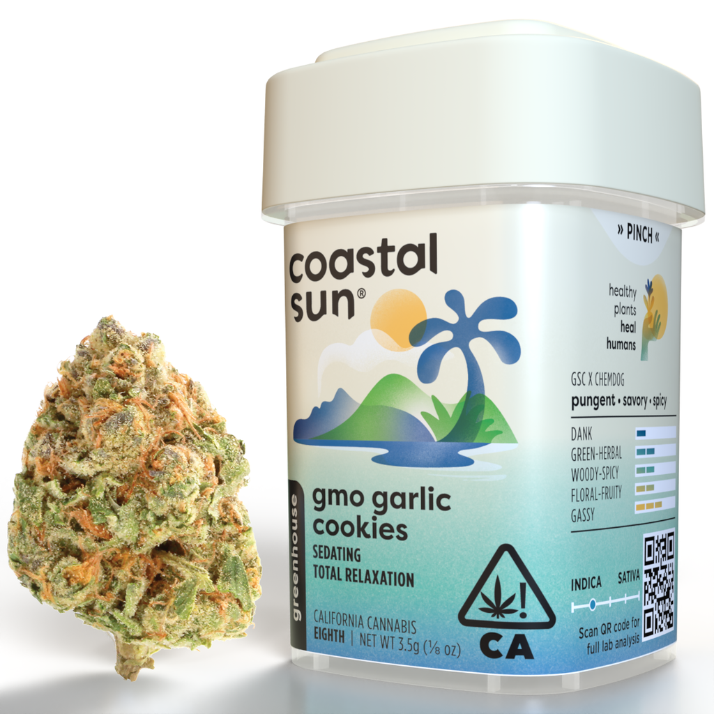 Coastal Sun: GMO Garlic Cookies