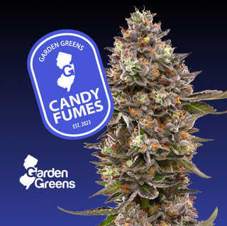 Cannabis Promo, Cannabis Sales, Cannabis Discounts, Cannabis on Sale, Garden Greens 3.5g $44! 3