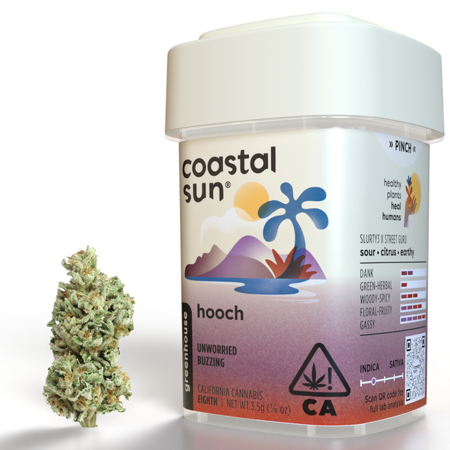 Hooch Coastal Sun