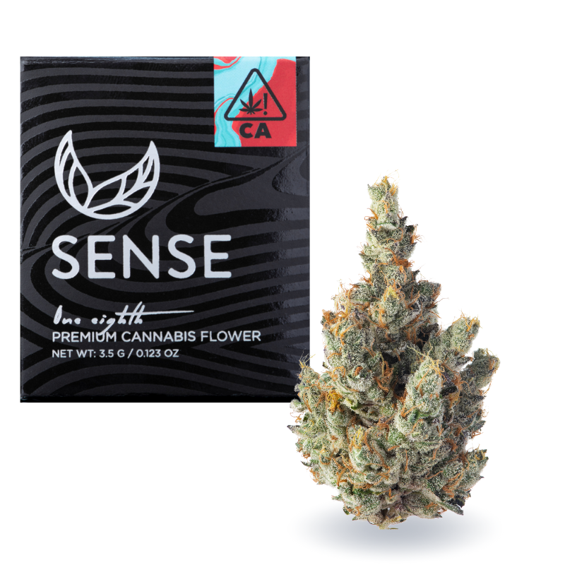 Sense: GMO