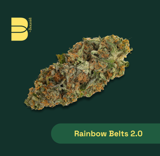 Rainbow Belts 2.0 Botanist