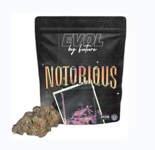 Notorious #1 EVOL