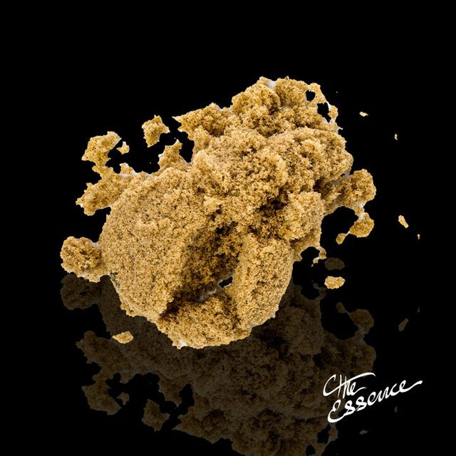 Black Garlic (the) Essence Black Garlic (the) Essence