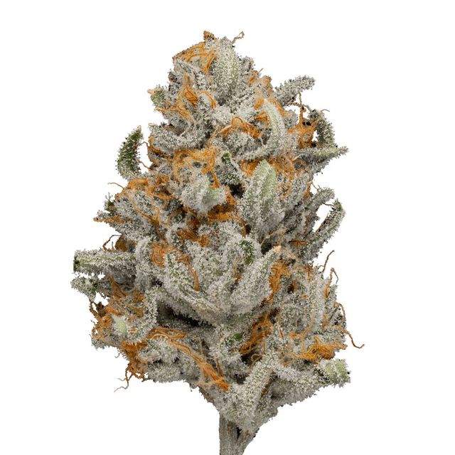 5150 TK Green Dot Labs