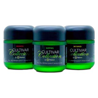 Sour OG Chem Cultivar Collection