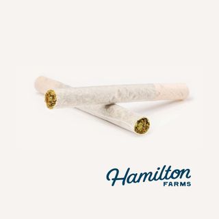 Panama Red | 1g Single Pre-Roll Hamilton Farms