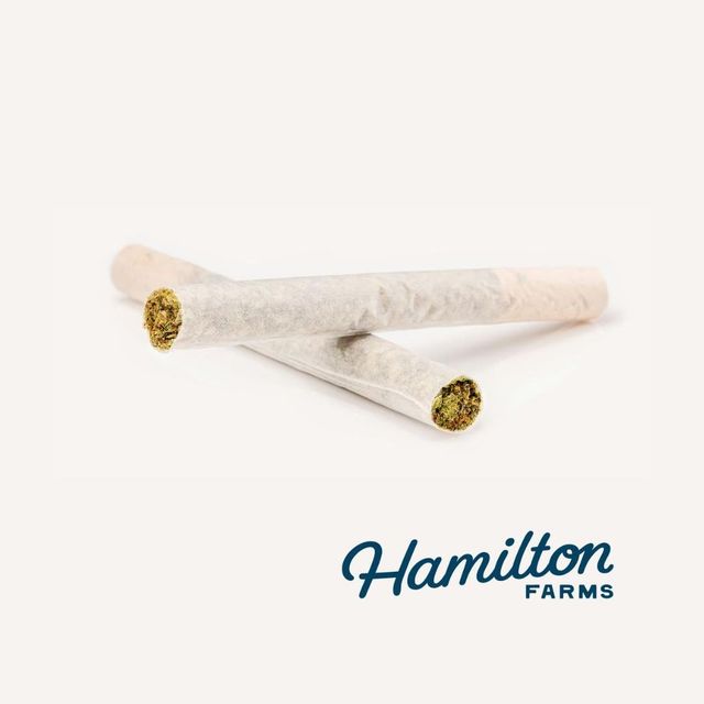 White Blizzard | 1g 2pk Pre-Rolls Hamilton Farms White Blizzard | 1g 2pk Pre-Rolls Hamilton Farms
