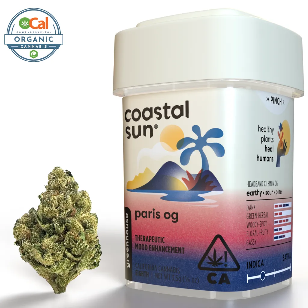 Paris OG Coastal Sun