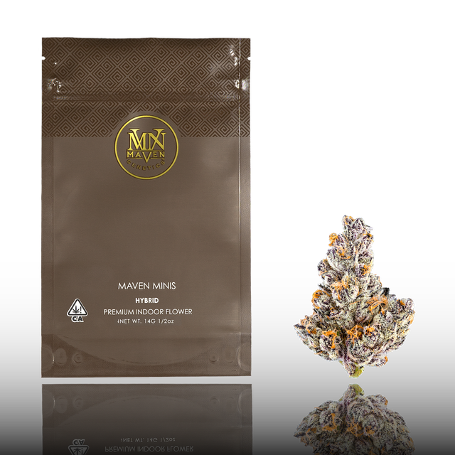 French Lotus Maven Genetics