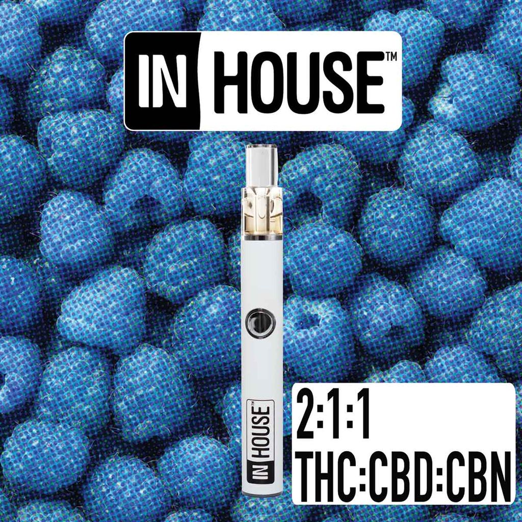 Buy Blue Raspberry 2:1:1 0.5g Disposable Pen | 0.5g | In House ...