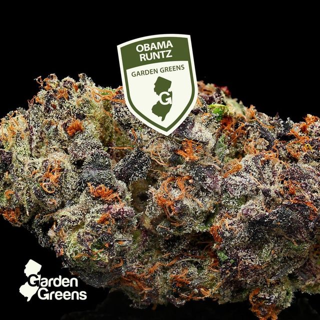 Paloma Spritz Garden Greens