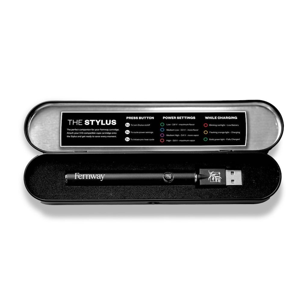 The Stylus