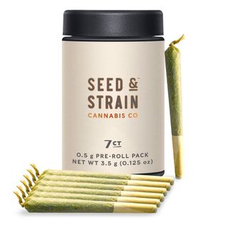 Crotch Rocket Seed & Strain