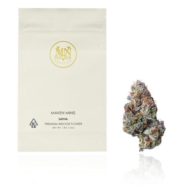 Zuzu Berry Maven Genetics