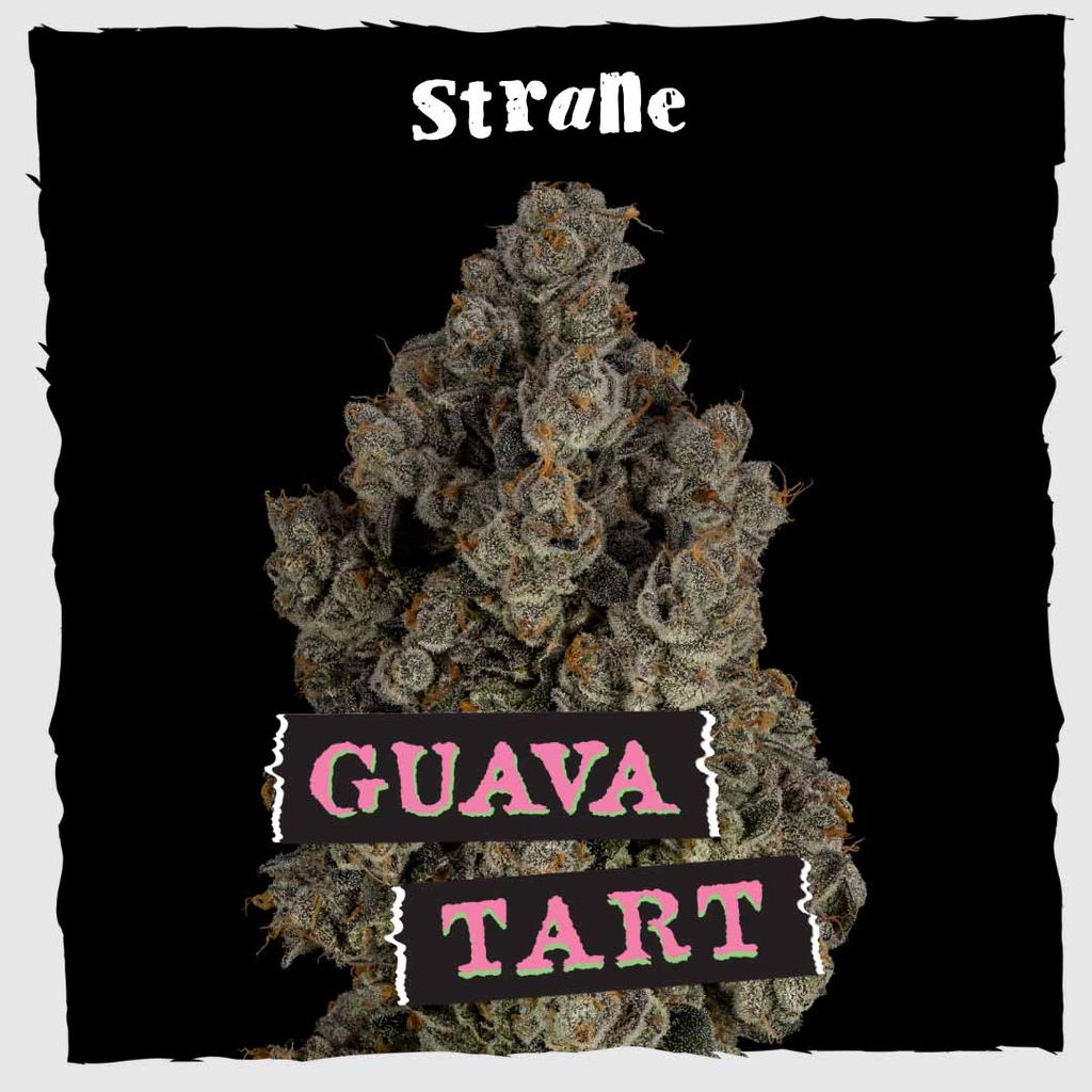 Strane — Guava T*rts