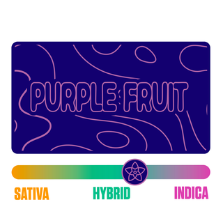 Purple Fruit Bubble Joint The Flower Collective