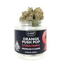 Orange Push Pop Clade9