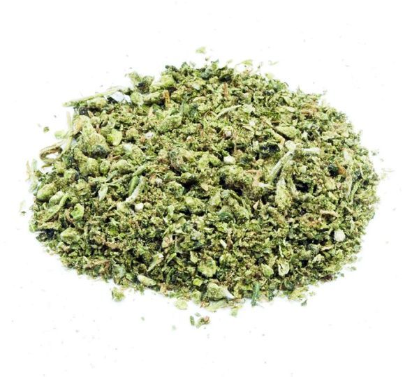GG 4 Bold Cultivation