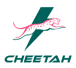Hawaiian Fruit Cake Cheetah