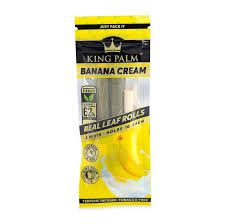 Banana Cream King Palm