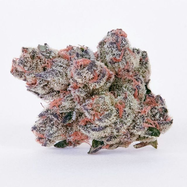 Canal St Runtz Pure Beauty