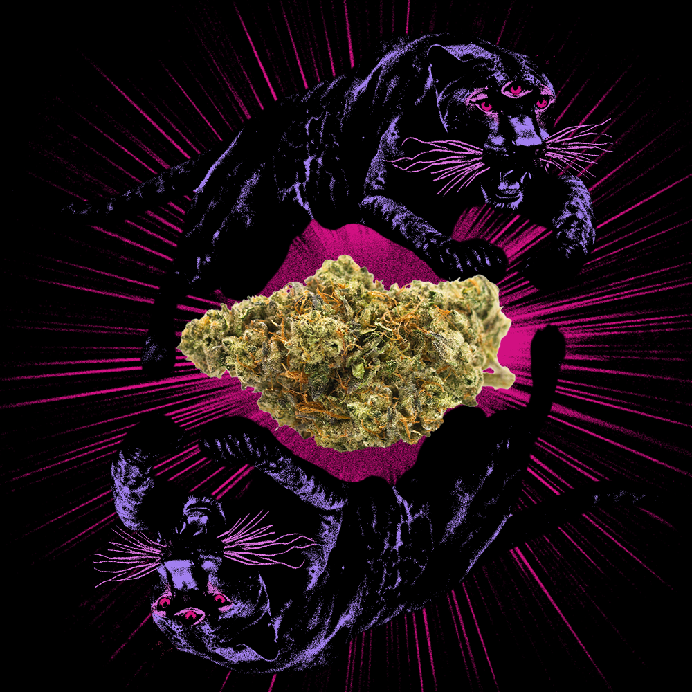 Rythm Animal Face Flower, 3.5g - image 2