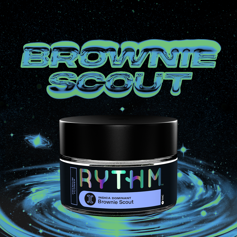 Brownie Scout