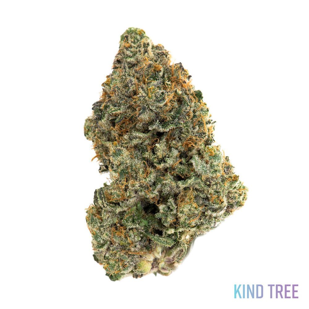 Kind Tree Durban Poison Flower, 14g