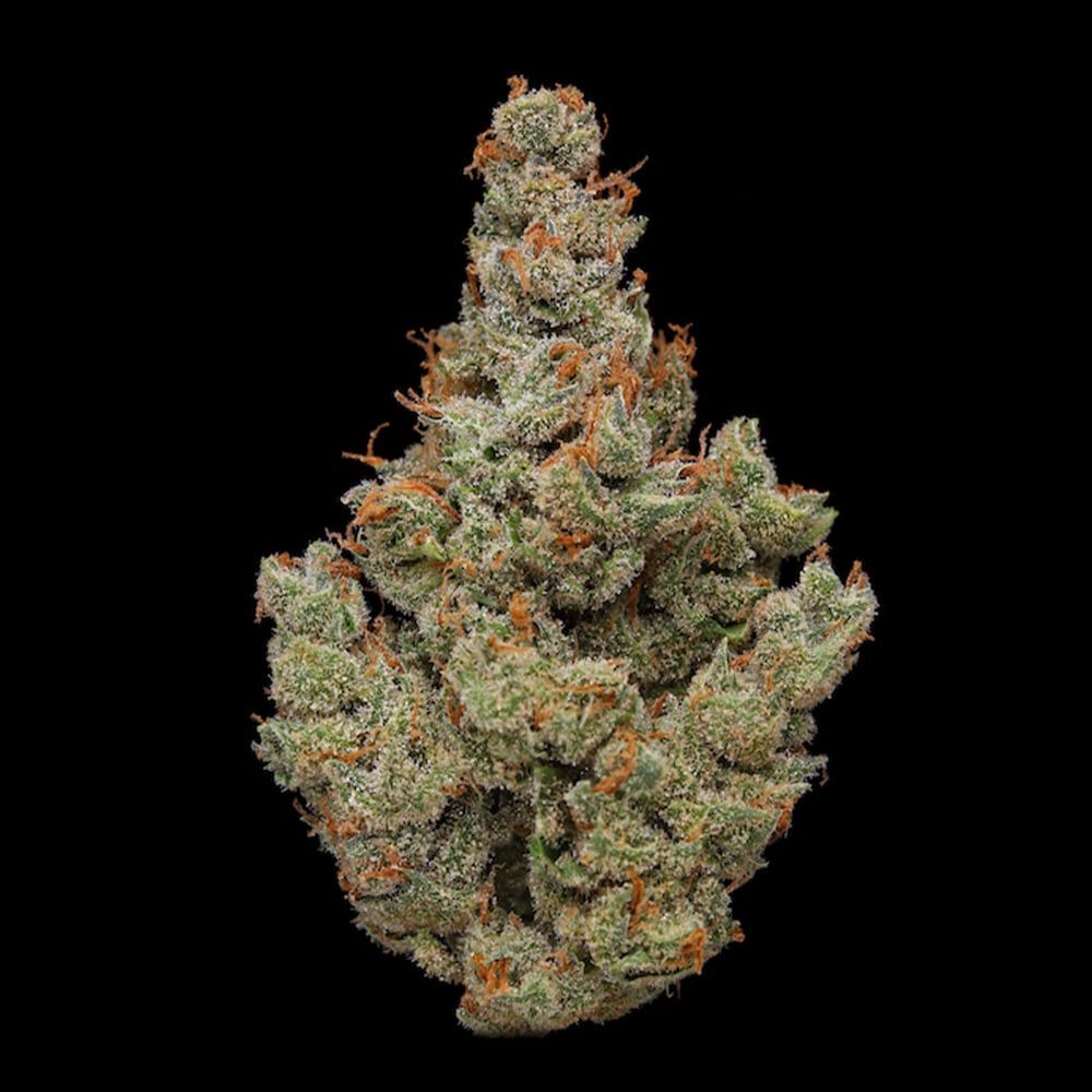 Clade 9 J1 Flower, 3.5g in Neptune, NJ