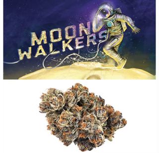 Moonwalkers product
