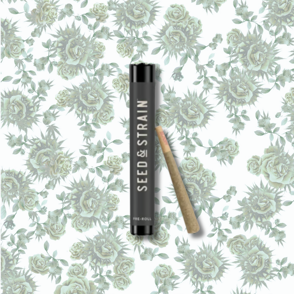 elf bar vape uk Seed & Strain (S&S) Seed & Strain | AIO Disposable Vape | Gelato | 1000mg main image 0