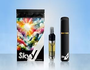 Buy Blackberry Kush 2.5g Disposable online - Aroma Hill Peoria | Peoria |  Illinois