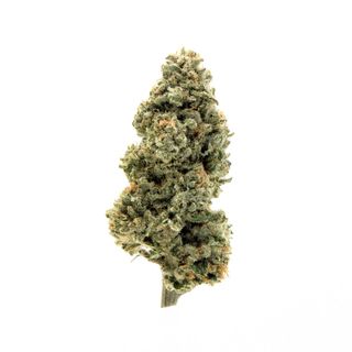 CHRY GLTO Pie Pre-Ground Green Dragon