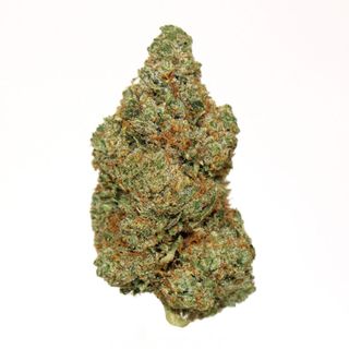 Fire N Ice Pre-Ground Green Dragon