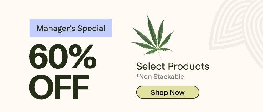 LAST CHANCE - 60% OFF