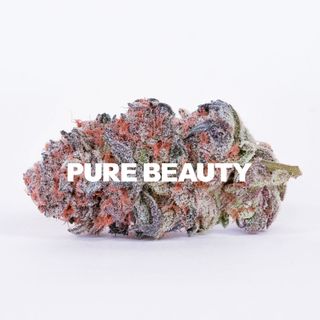 Cannabis Promo, Cannabis Sales, Cannabis Discounts, Cannabis on Sale, TUESDAYS: 30% Off Pure Beauty Flower 3