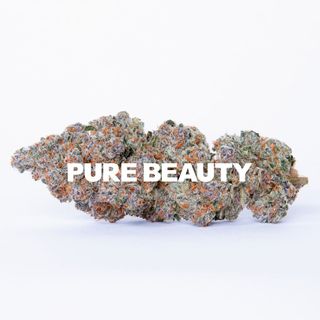 Midnight Snack Pure Beauty