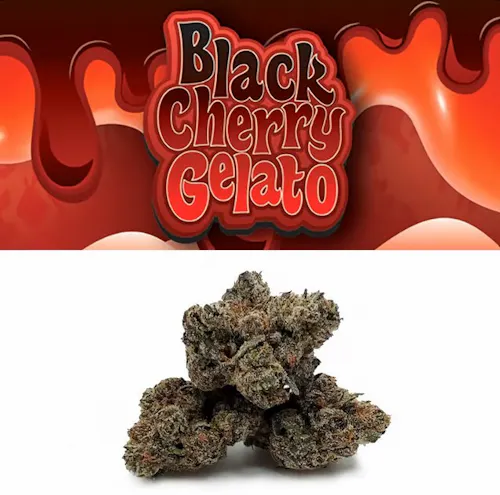 Black Cherry Gelato product
