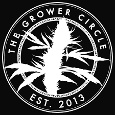Tangelo Kush The Grower Circle Tangelo Kush The Grower Circle
