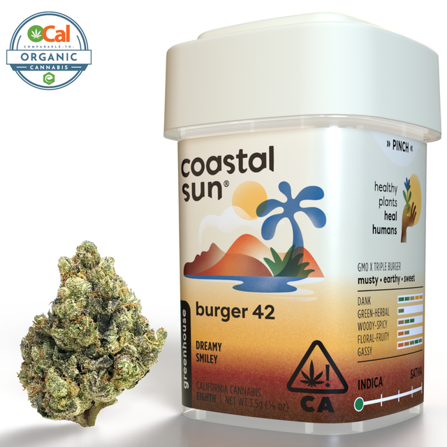 Burger 42  Coastal Sun