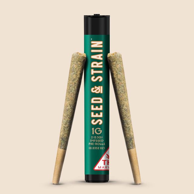 Gummie Bunz Seed & Strain Gummie Bunz Seed & Strain
