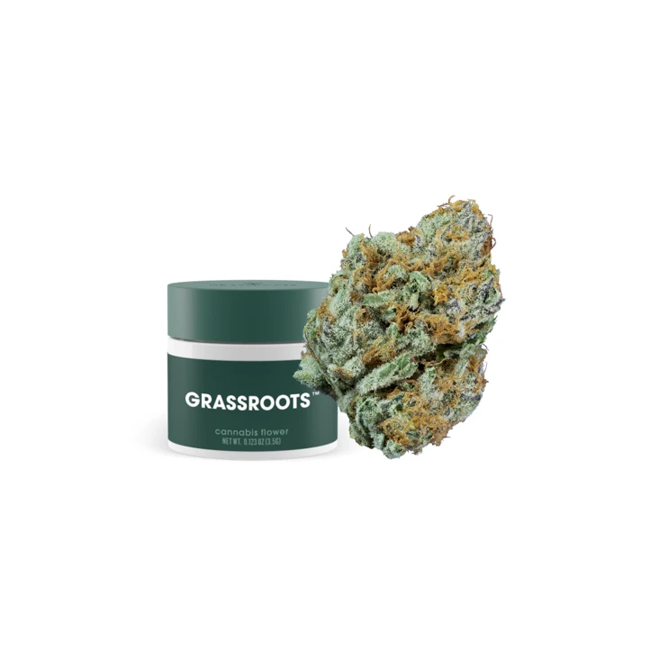 Modified Fuelato Grassroots