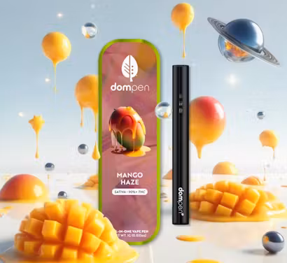 Mango Haze Dompen