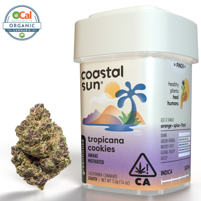 Tropicana Cookies Coastal Sun