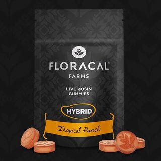 Tropical Punch Live Rosin Gummy product