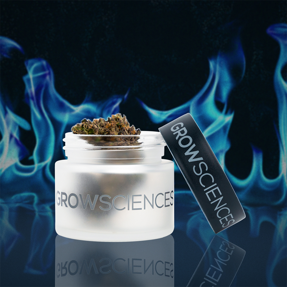 Grow Sciences Florida Jack 3.5g Flower