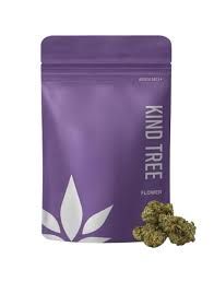 Palisades Mint Kind Tree