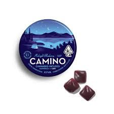 Midnight Blueberry 5:1 Camino