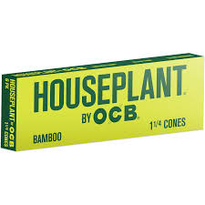 House Plant Bamboo 1 1/4